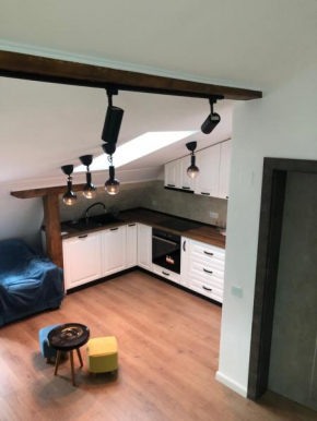 Tody central apartament